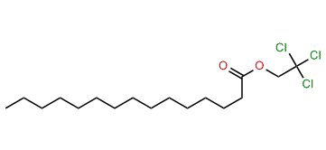 2,2,2-Trichloroethyl pentadecanoate